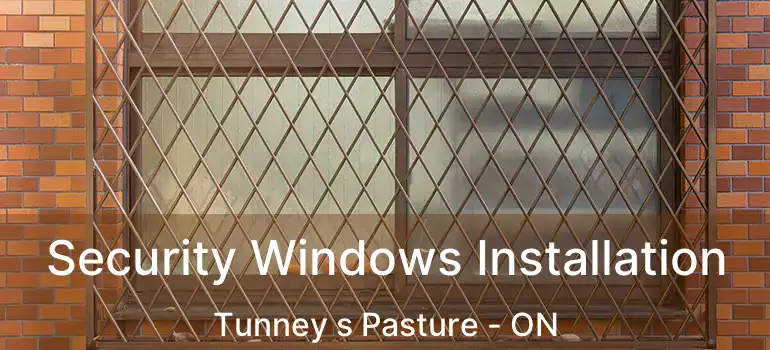  Security Windows Installation Tunney s Pasture - ON