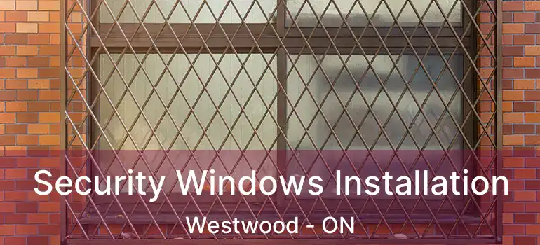  Security Windows Installation Westwood - ON