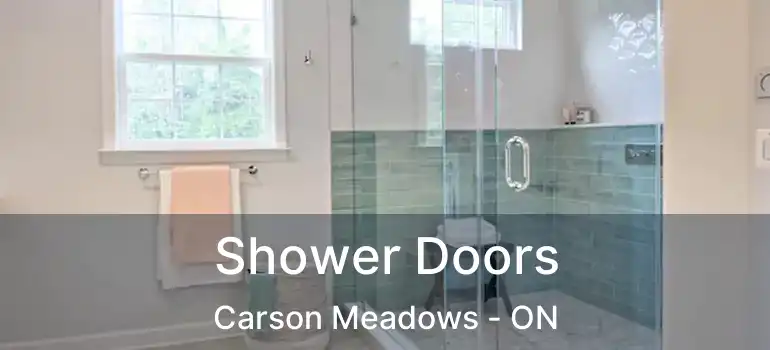  Shower Doors Carson Meadows - ON