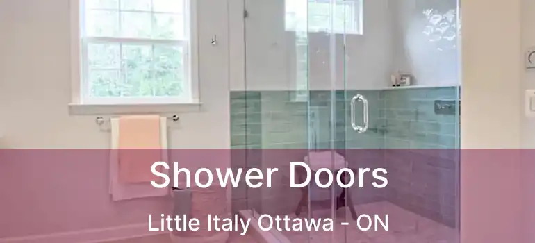  Shower Doors Little Italy Ottawa - ON