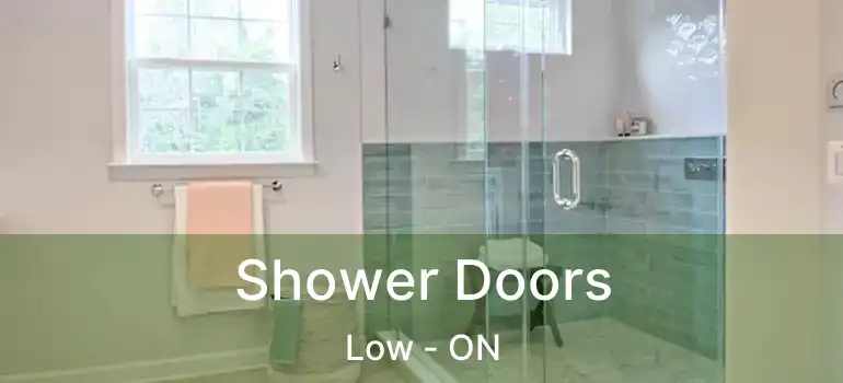  Shower Doors Low - ON