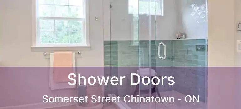  Shower Doors Somerset Street Chinatown - ON