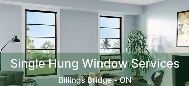  Single Hung Window Services Billings Bridge - ON