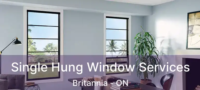  Single Hung Window Services Britannia - ON