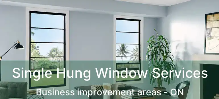  Single Hung Window Services Business improvement areas - ON