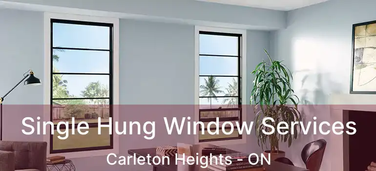  Single Hung Window Services Carleton Heights - ON