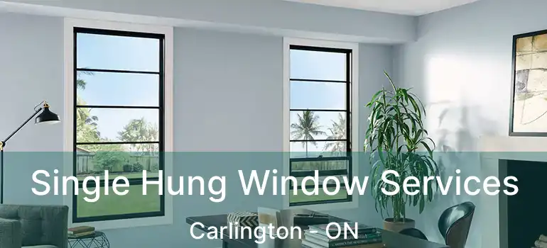  Single Hung Window Services Carlington - ON