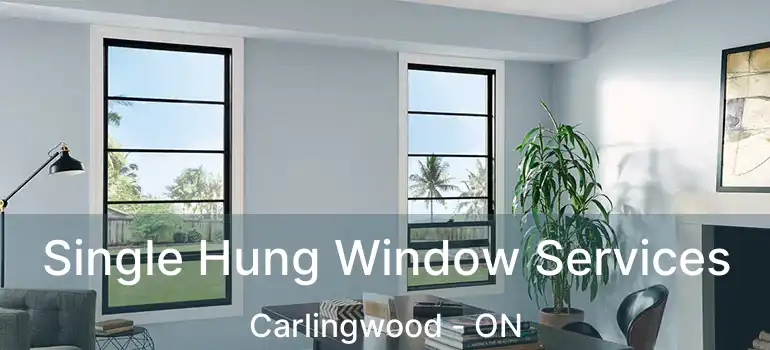  Single Hung Window Services Carlingwood - ON