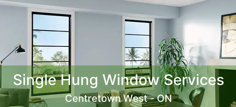  Single Hung Window Services Centretown West - ON