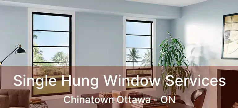  Single Hung Window Services Chinatown Ottawa - ON