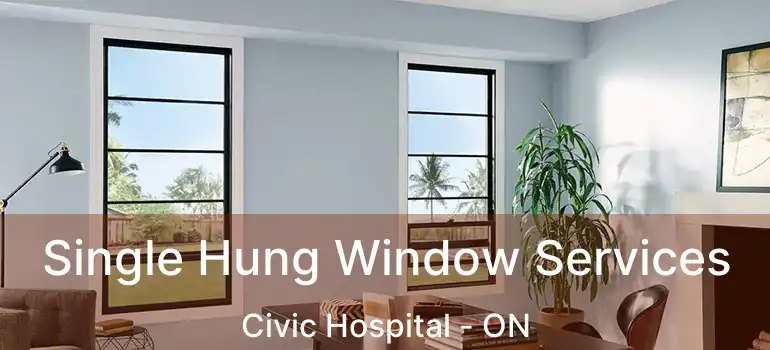  Single Hung Window Services Civic Hospital - ON