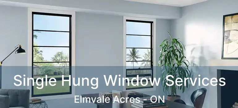  Single Hung Window Services Elmvale Acres - ON