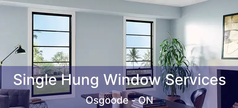  Single Hung Window Services Osgoode - ON