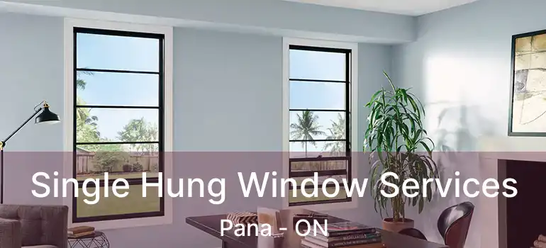  Single Hung Window Services Pana - ON