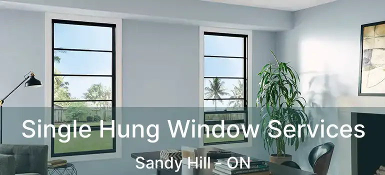  Single Hung Window Services Sandy Hill - ON