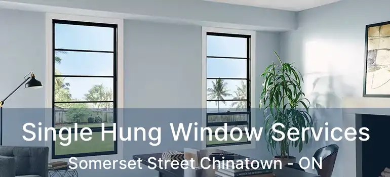  Single Hung Window Services Somerset Street Chinatown - ON