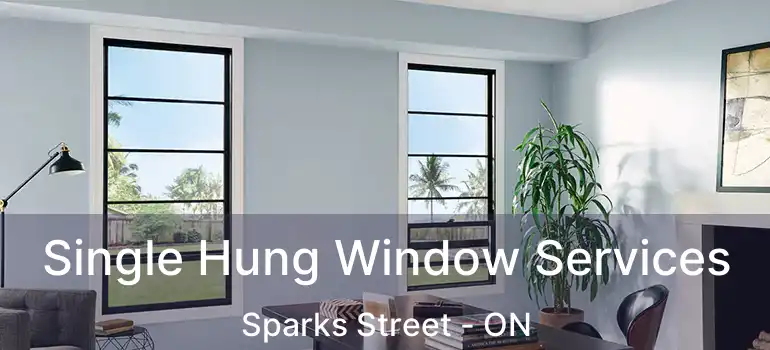  Single Hung Window Services Sparks Street - ON