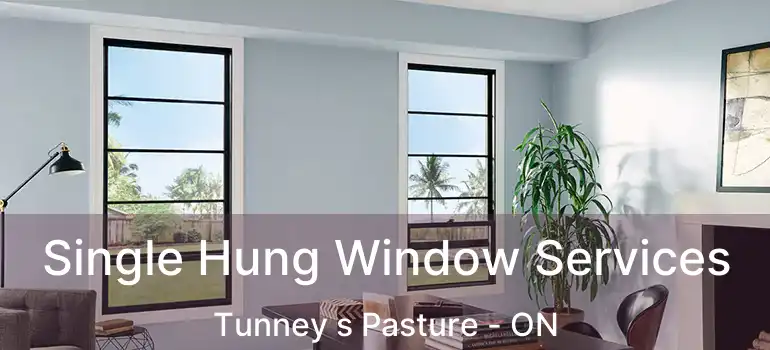  Single Hung Window Services Tunney s Pasture - ON