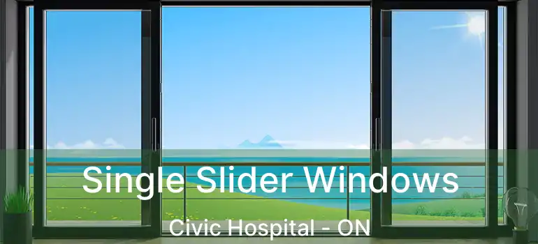  Single Slider Windows Civic Hospital - ON