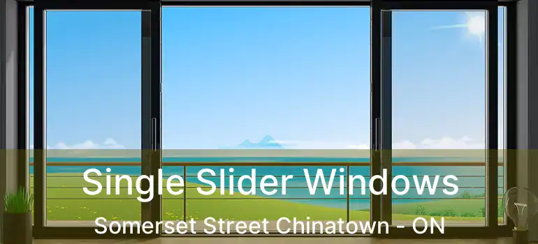  Single Slider Windows Somerset Street Chinatown - ON