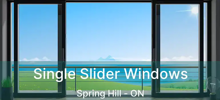  Single Slider Windows Spring Hill - ON