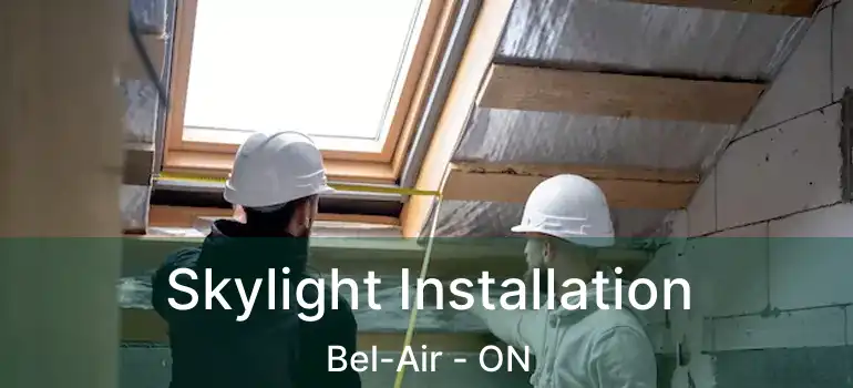  Skylight Installation Bel-Air - ON