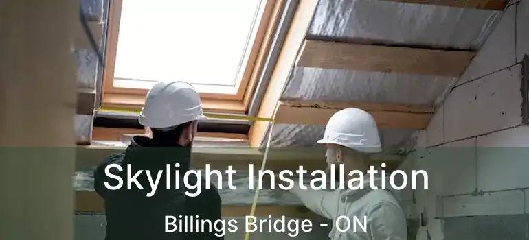  Skylight Installation Billings Bridge - ON