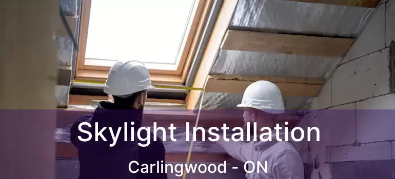  Skylight Installation Carlingwood - ON