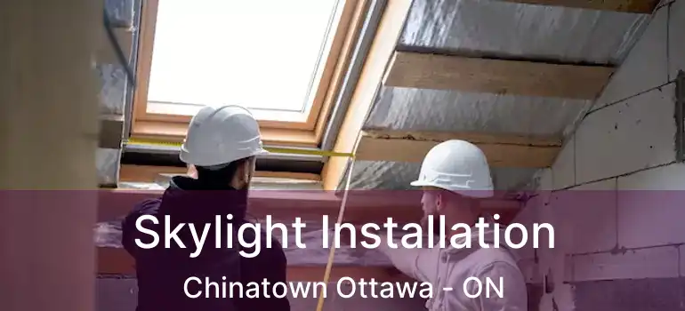  Skylight Installation Chinatown Ottawa - ON