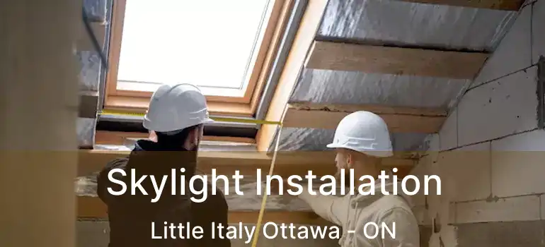  Skylight Installation Little Italy Ottawa - ON