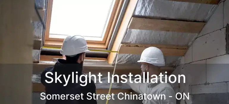  Skylight Installation Somerset Street Chinatown - ON