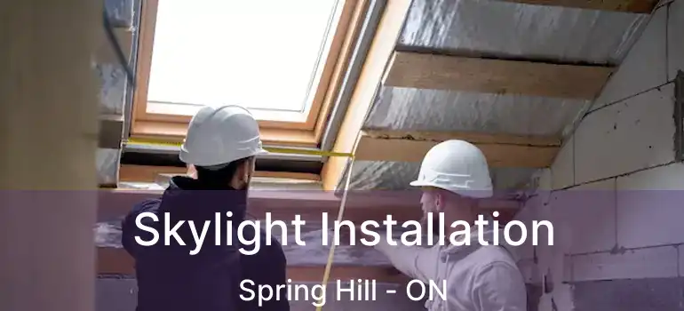  Skylight Installation Spring Hill - ON