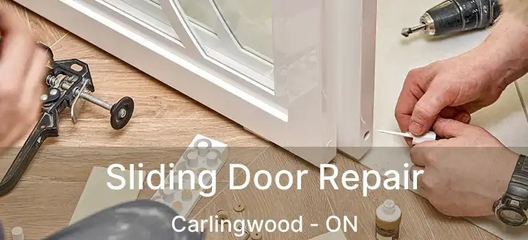  Sliding Door Repair Carlingwood - ON