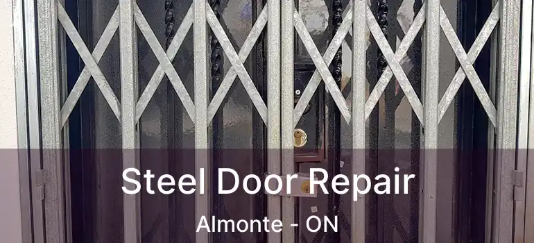  Steel Door Repair Almonte - ON