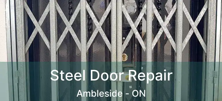  Steel Door Repair Ambleside - ON