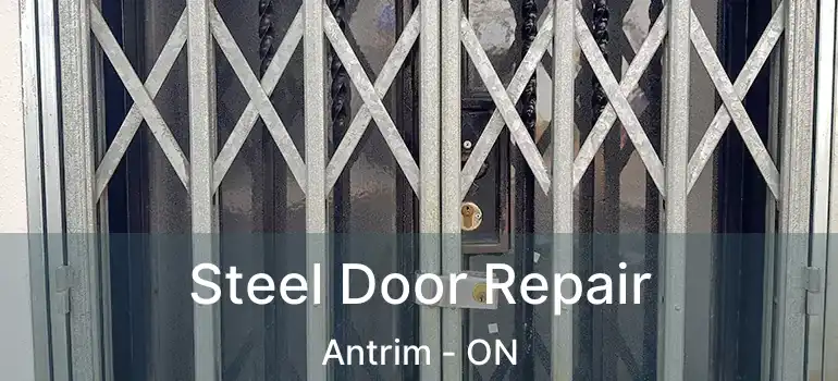  Steel Door Repair Antrim - ON