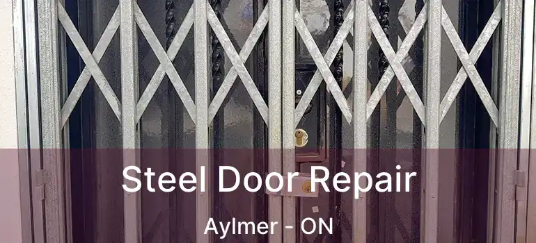  Steel Door Repair Aylmer - ON