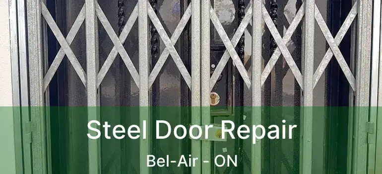  Steel Door Repair Bel-Air - ON