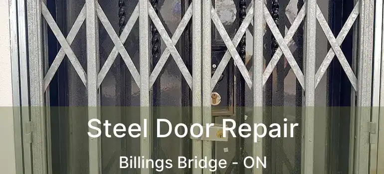  Steel Door Repair Billings Bridge - ON