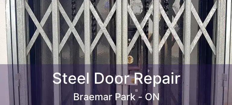  Steel Door Repair Braemar Park - ON