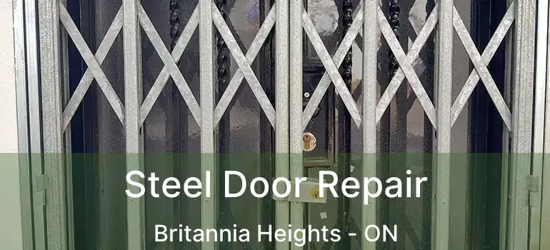  Steel Door Repair Britannia Heights - ON