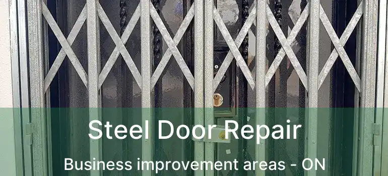  Steel Door Repair Business improvement areas - ON