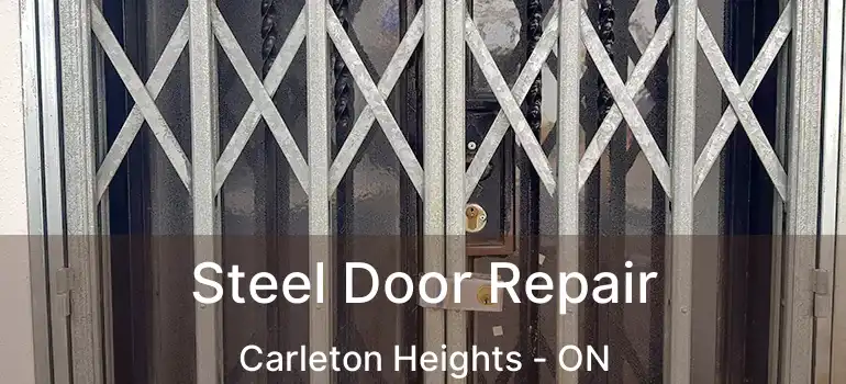  Steel Door Repair Carleton Heights - ON