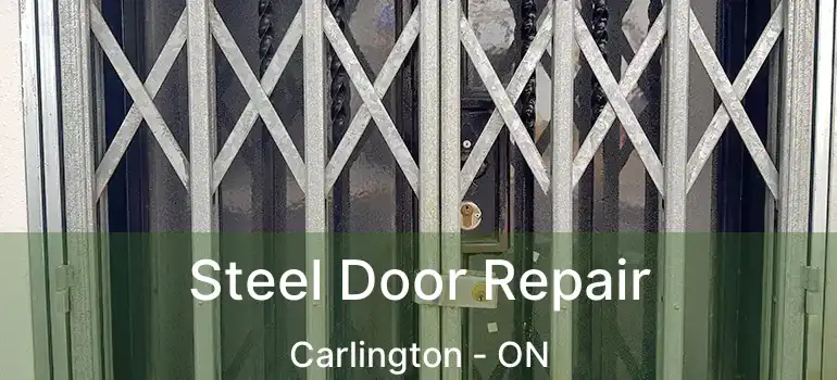  Steel Door Repair Carlington - ON