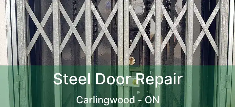  Steel Door Repair Carlingwood - ON