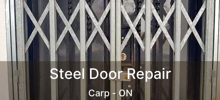  Steel Door Repair Carp - ON