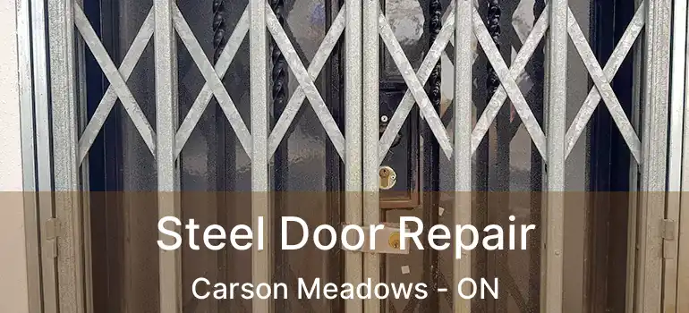  Steel Door Repair Carson Meadows - ON