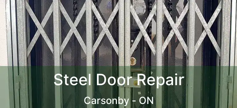  Steel Door Repair Carsonby - ON