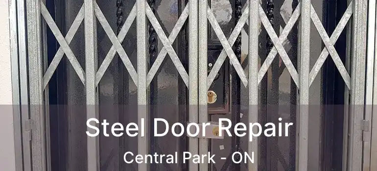  Steel Door Repair Central Park - ON