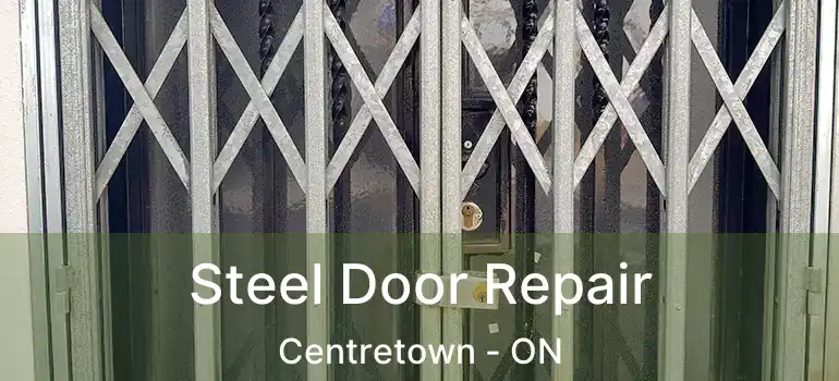  Steel Door Repair Centretown - ON